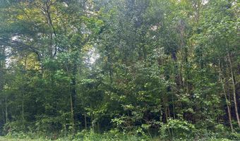 8 Creekside Ln, Arab, AL 35016