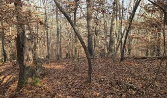 00001 Hwy 369, Ball Ground, GA 30107