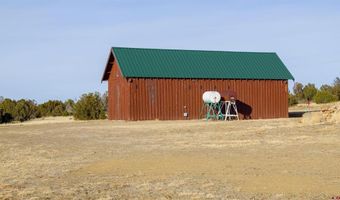 000 County Road 40.2 Country Cabin Lane Elk and Cattle, Branson, CO 81027