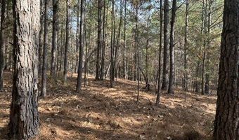 2423 Mill Creek Rd, Bethune, SC 29009