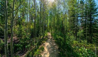 123 Westerman Rd, Breckenridge, CO 80424