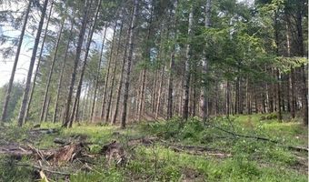 NW LODGE Rd, Banks, OR 97106