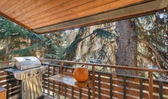 910 W Hallam St 11, Aspen, CO 81611