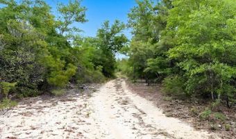 Broadview Avenue, Alford, FL 32420