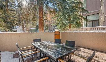 326 W Hopkins Ave, Aspen, CO 81611