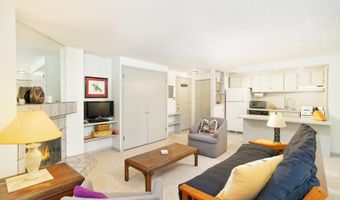 935 E Hopkins Ave 6, Aspen, CO 81611