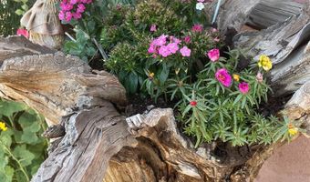 536 Coronado Dr, Bernalillo, NM 87004