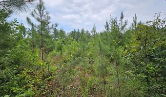 671 Penlan Rd Lot 2, Arvonia, VA 23004