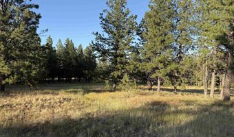 Tbd Harlow Ridge Rd - Cloverland Estates 36 & 37, Asotin, WA 99402
