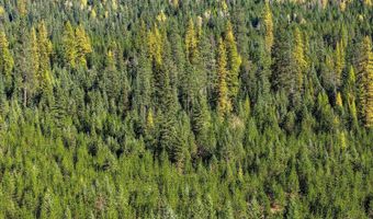 NNA N Moyie River Rd, Bonners Ferry, ID 83805