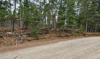 Tbd Forbes Lane, Longville, MN 56655