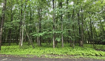 44 Poe Cir, Albrightsville, PA 18210