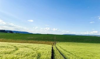 Tbd E 1400 N, Ashton, ID 83420