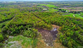 Beaver Road, Alexander, NY 14005