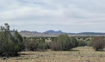 51 W Boiling Pot Rd, Ash Fork, AZ 86320