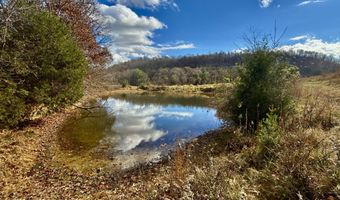 1520 Brittontown Rd, Afton, TN 37616
