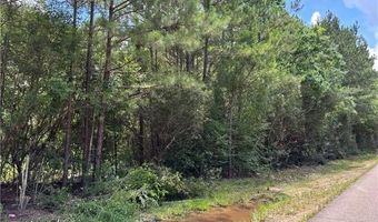 1 529 AC TRAPPERS RUN Lot 7, Albany, LA 70711