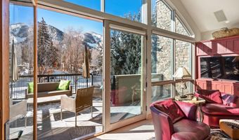 990 E Hopkins Ave, Aspen, CO 81611