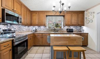 565 Buchanan Rd, Albertville, AL 35950
