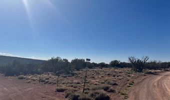 36 County Road N8487, Concho, AZ 85924