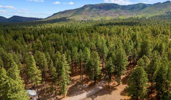 Tbd CR2325, Alpine, AZ 85920