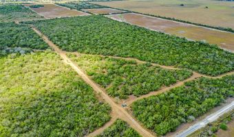 1121 County Road 481, Alice, TX 78332