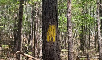 274 CR 3301, Booneville, MS 38829
