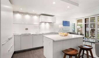 800 E Hopkins Ave A-3, Aspen, CO 81611