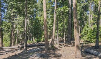 403 Sierra Pkwy, Camp Connell, CA 95223