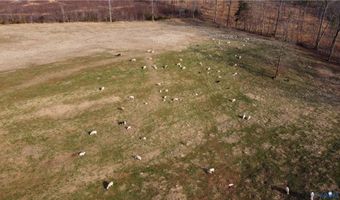 23381 Genito Rd, Amelia, VA 23002