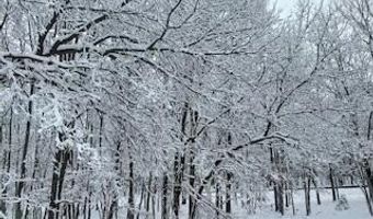 DEERFOOT AND PINETREE Road, Albrightsville, PA 18210