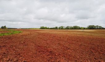 00 County Road 137, Abbeville, AL 36310