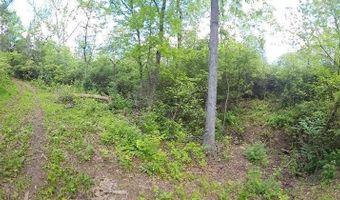 Eugene lot 19, Aurora, IN 47001