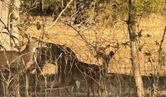415347 E 1912 Rd, Antlers, OK 74523