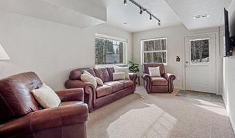 234 PETERSON Dr, Alma, CO 80440