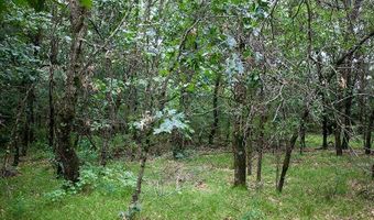 Lot 27 10th Avenue, Adams, WI 53910