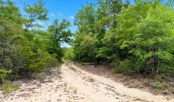 Broadview Avenue, Alford, FL 32420