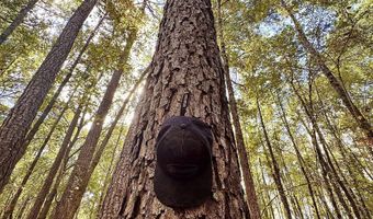 Eugene Ward Road, Adrian, GA 31002