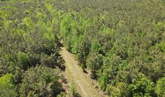 Colice Hall Lane, Ahoskie, NC 27910