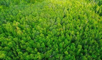 County Road Y, Aniwa, WI 54408