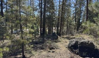 Horned Owl Lane, Bonanza, OR 97623