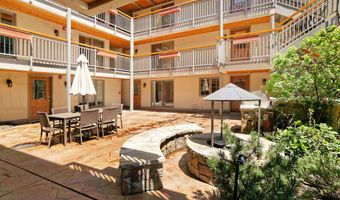 630 E Cooper Ave 1, Aspen, CO 81611