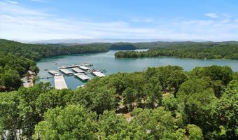 247 Lakeview Ln, Andersonville, TN 37705