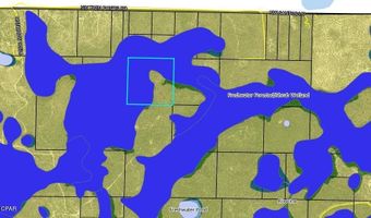 NW Camp Head Road, Altha, FL 32421