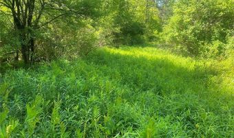 Townline Road, Angelica, NY 14709