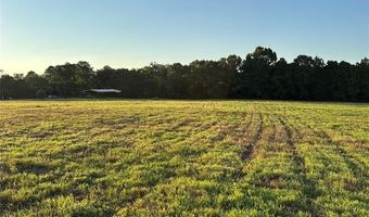 7 Cornelius Rd, Antlers, OK 74523