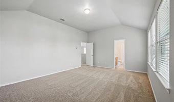 2045 Hanakoa Falls Dr, Anna, TX 75409