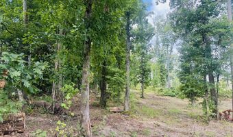 Tract 2 Mill Creek Rd, Andersonville, TN 37705