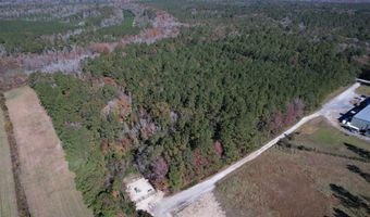 793 Puncheon Creek Dr, Andrews, SC 29510
