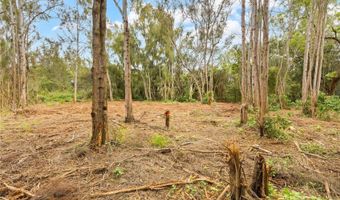 Parcel 49 Alapio Road, Haleiwa, HI 96712